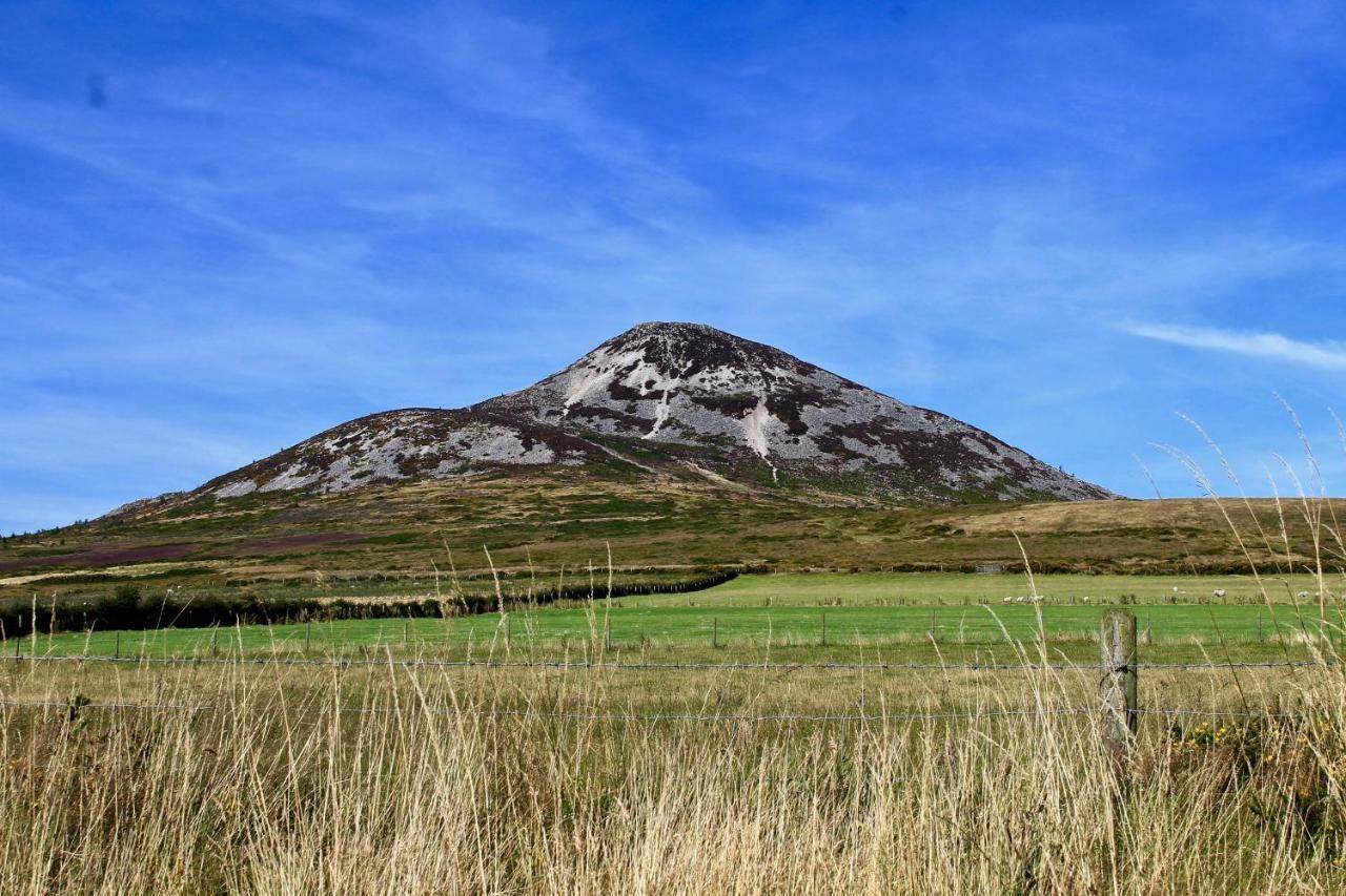 Penzion The Nook County Dublin Exteriér fotografie