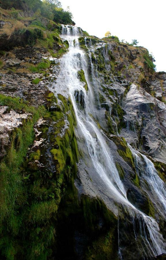 Penzion The Nook County Dublin Exteriér fotografie